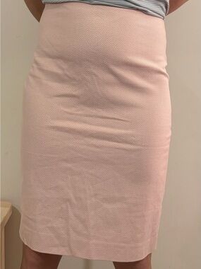 Talbots Light Pink Pencil Skirt